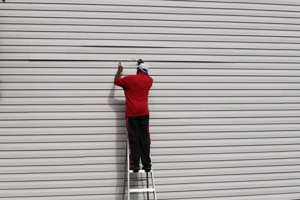 Best Stone Veneer Siding  in Clinton, NC